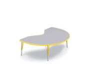 Kidney Activity Table