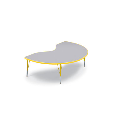 Kidney Activity Table