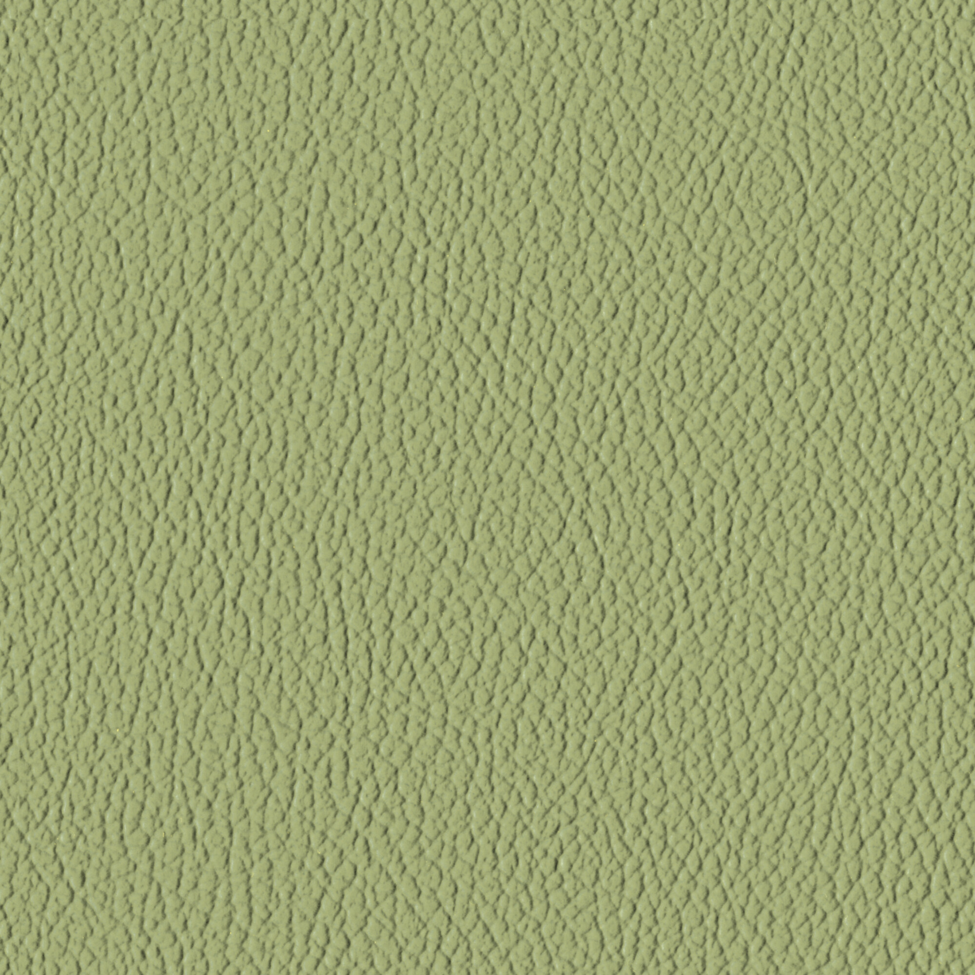 Aloe