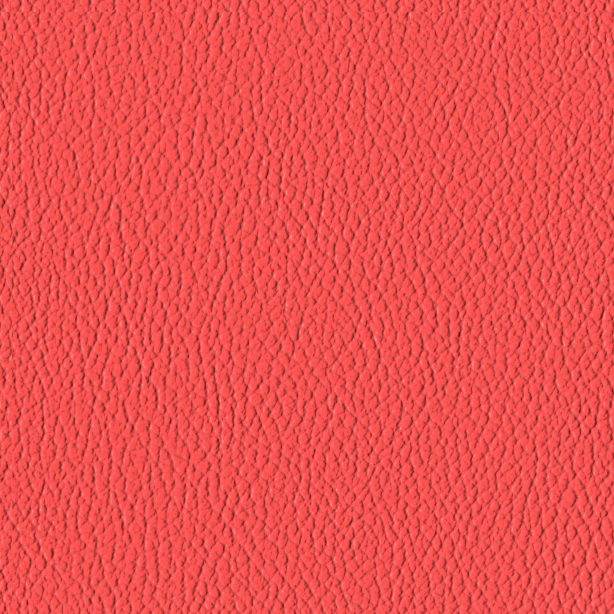Cardinal