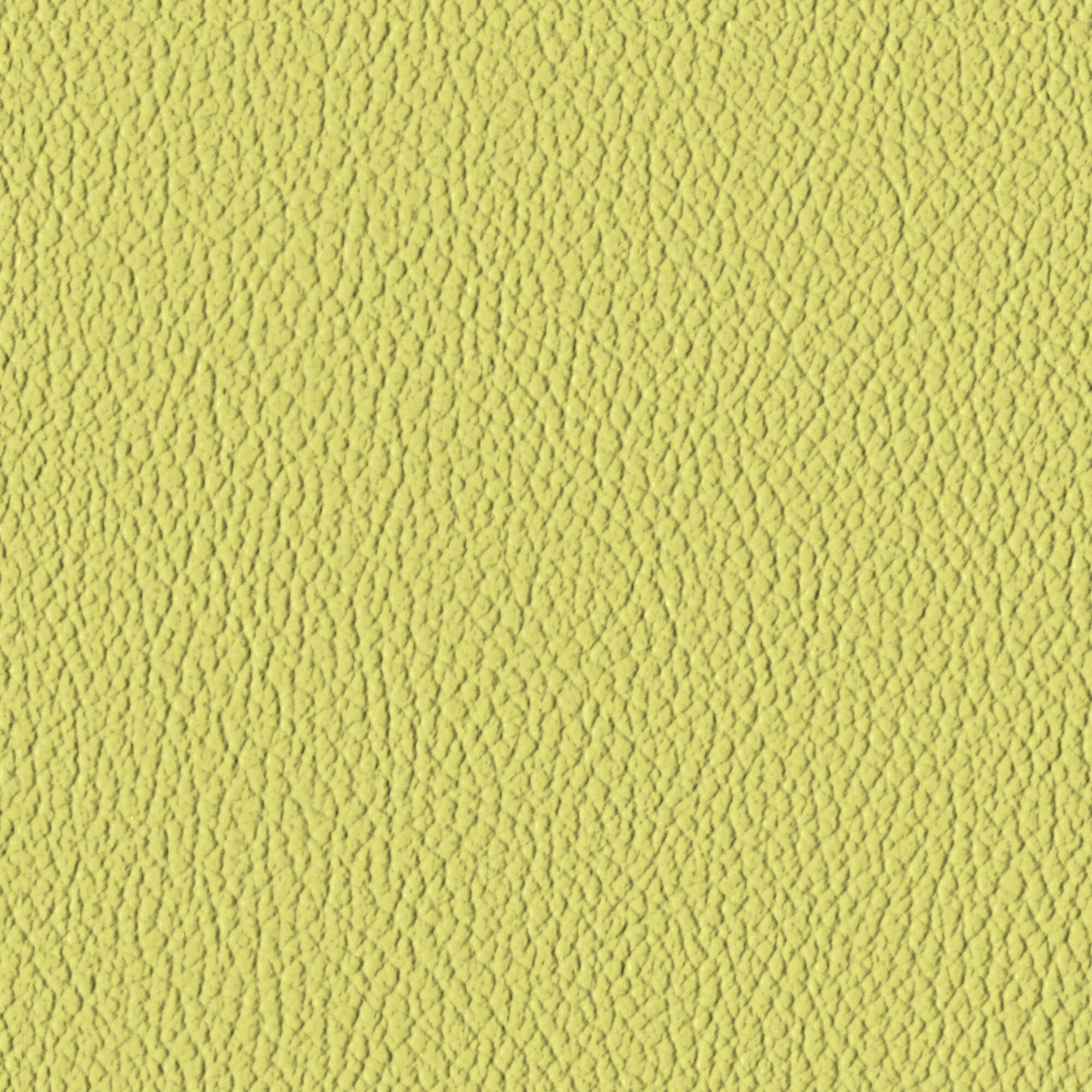 Chervil