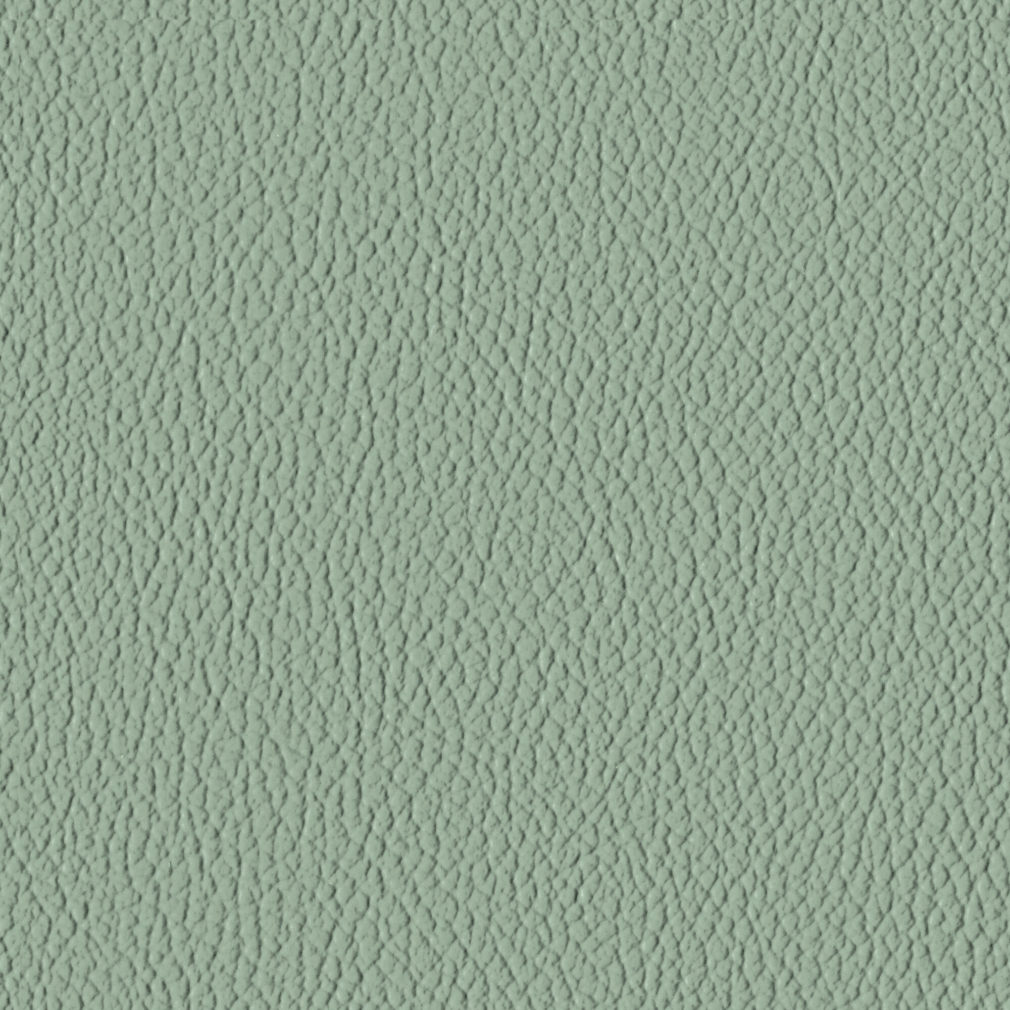 Glacier