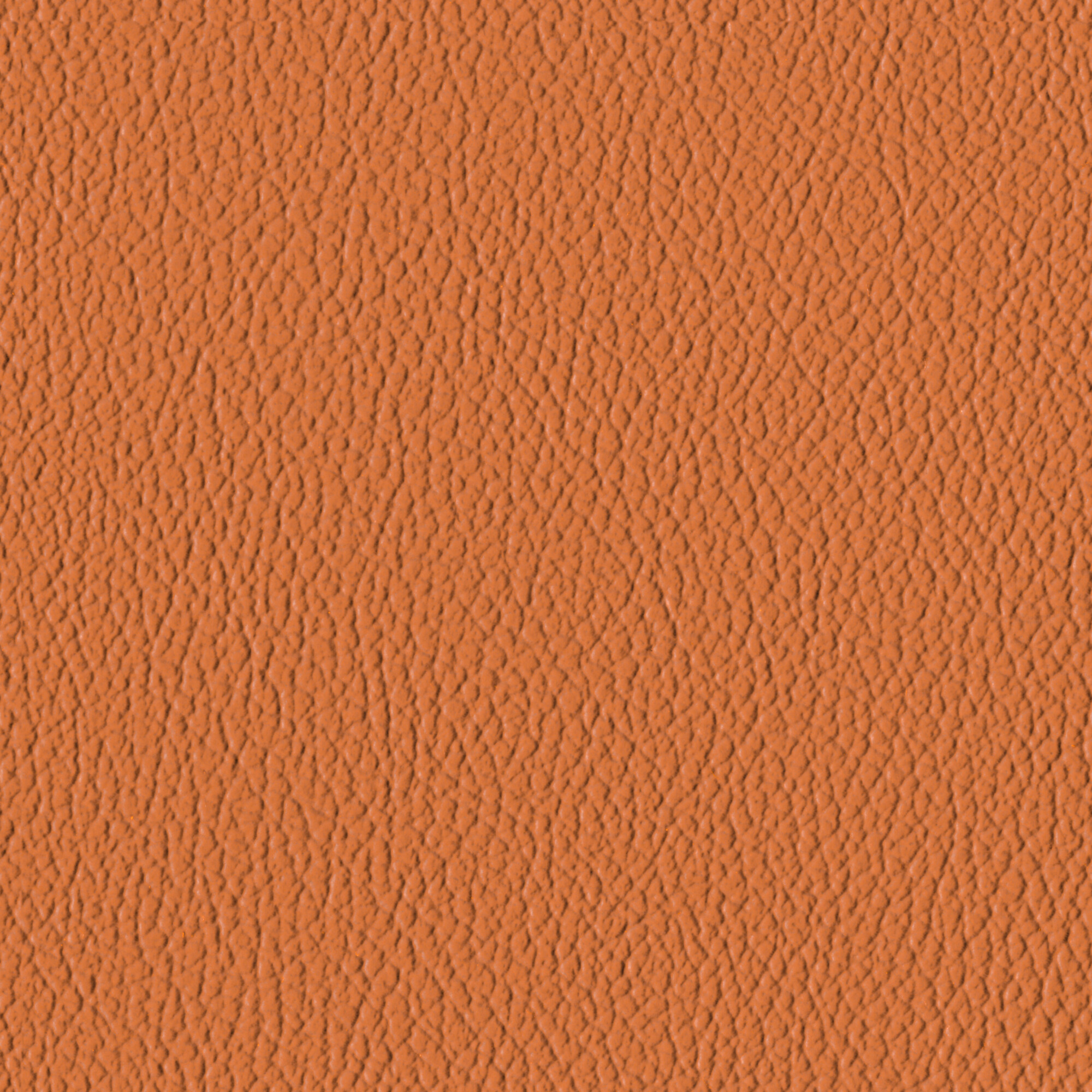 Nutmeg