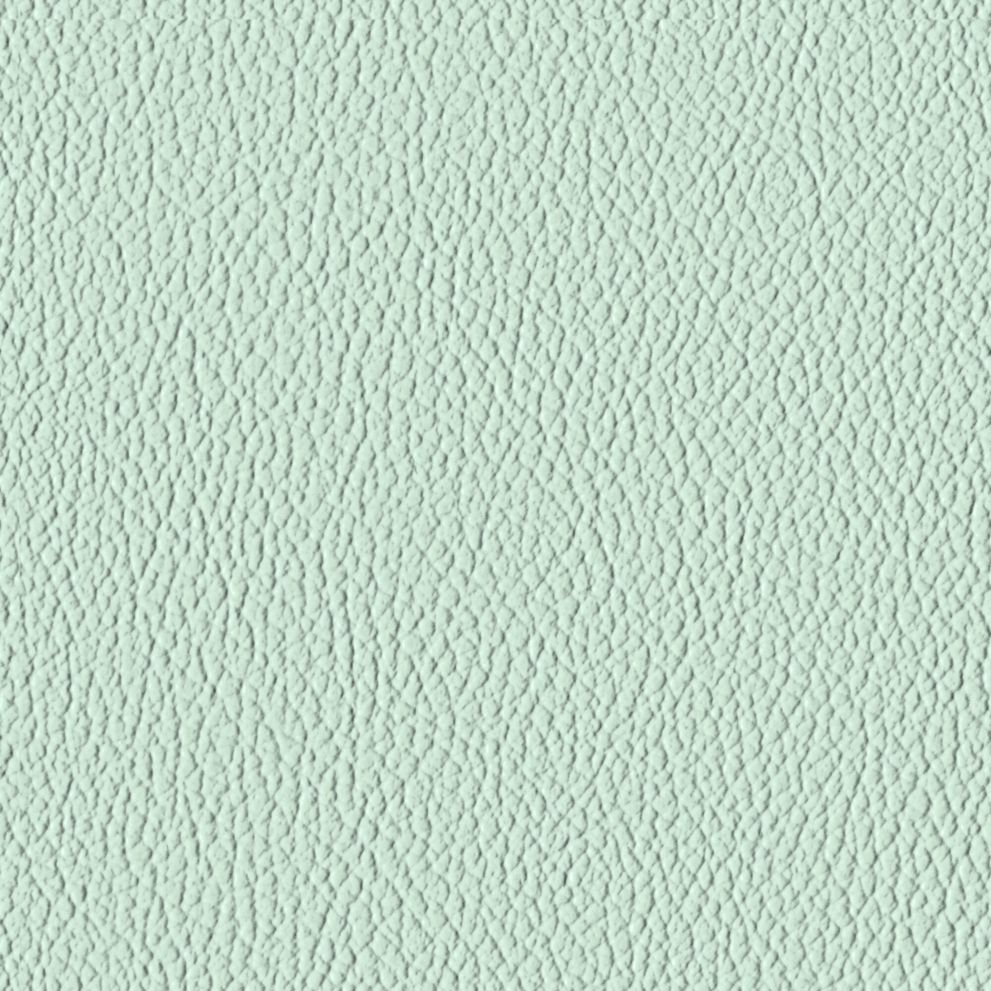 Pale Aqua