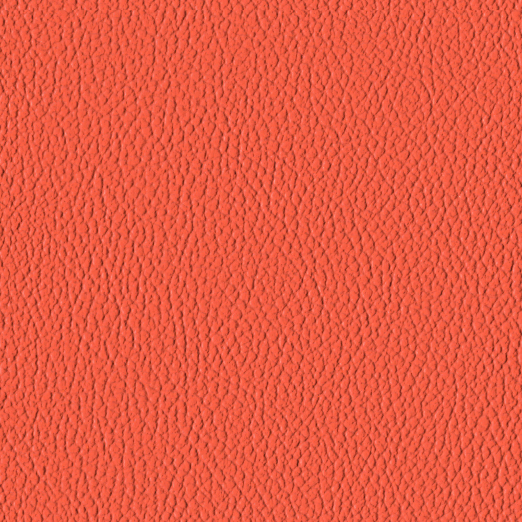 Persimmon