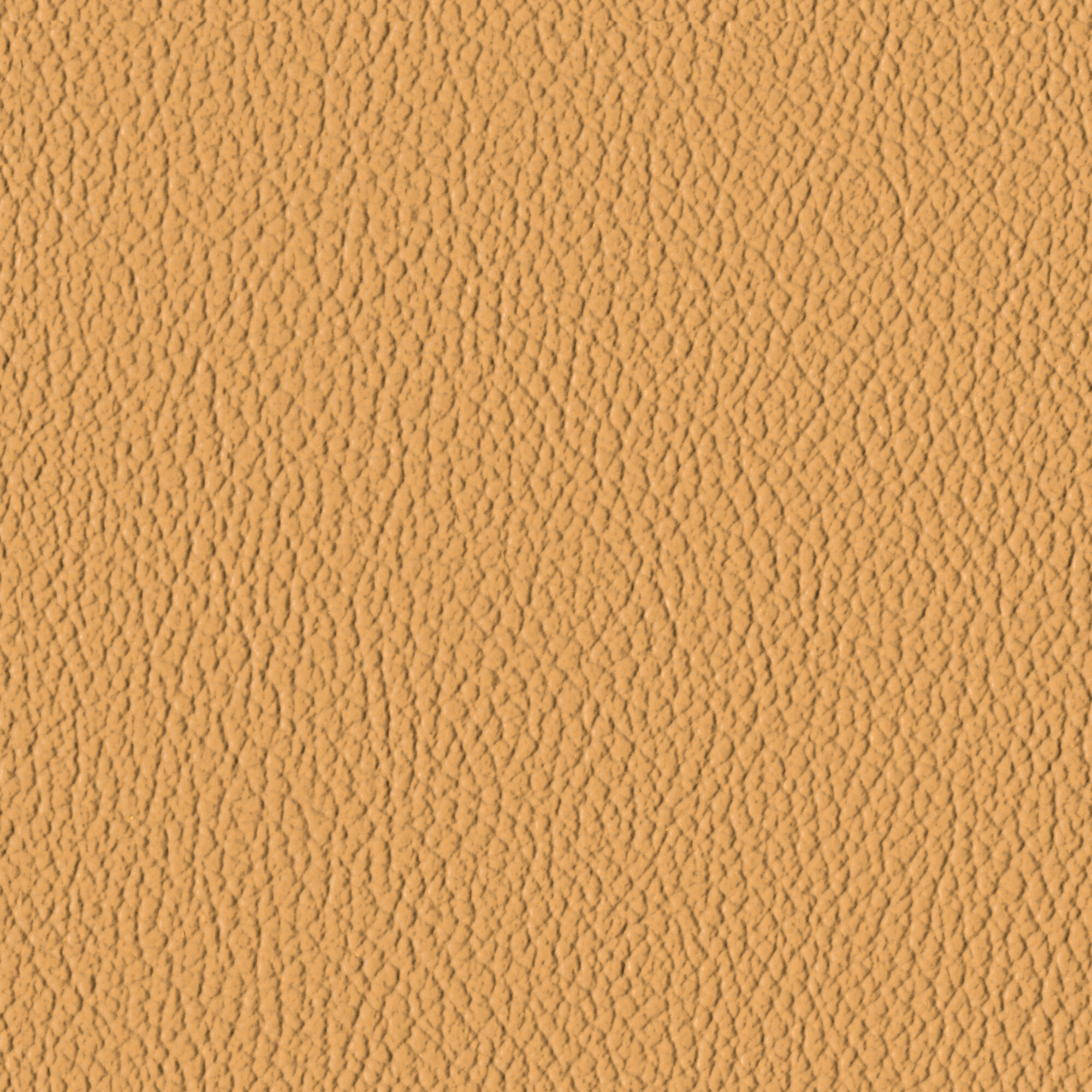 River Clay
