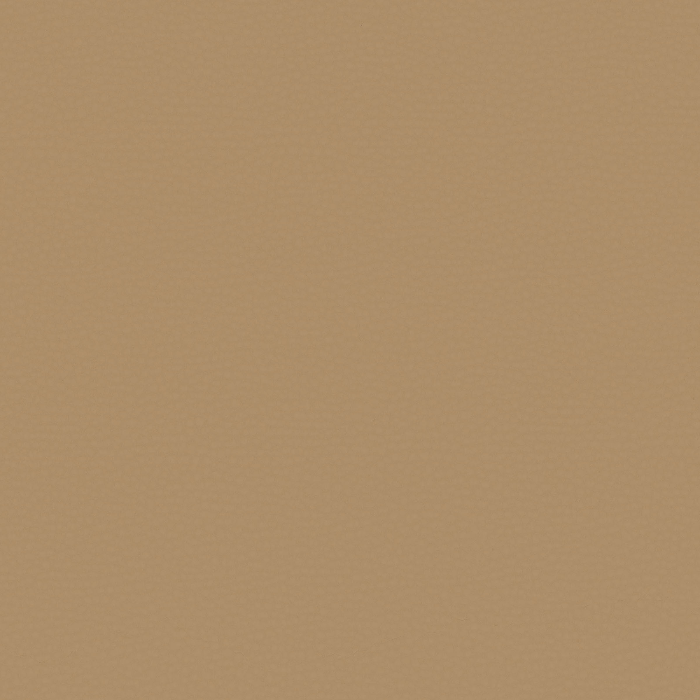 Brushed Tan