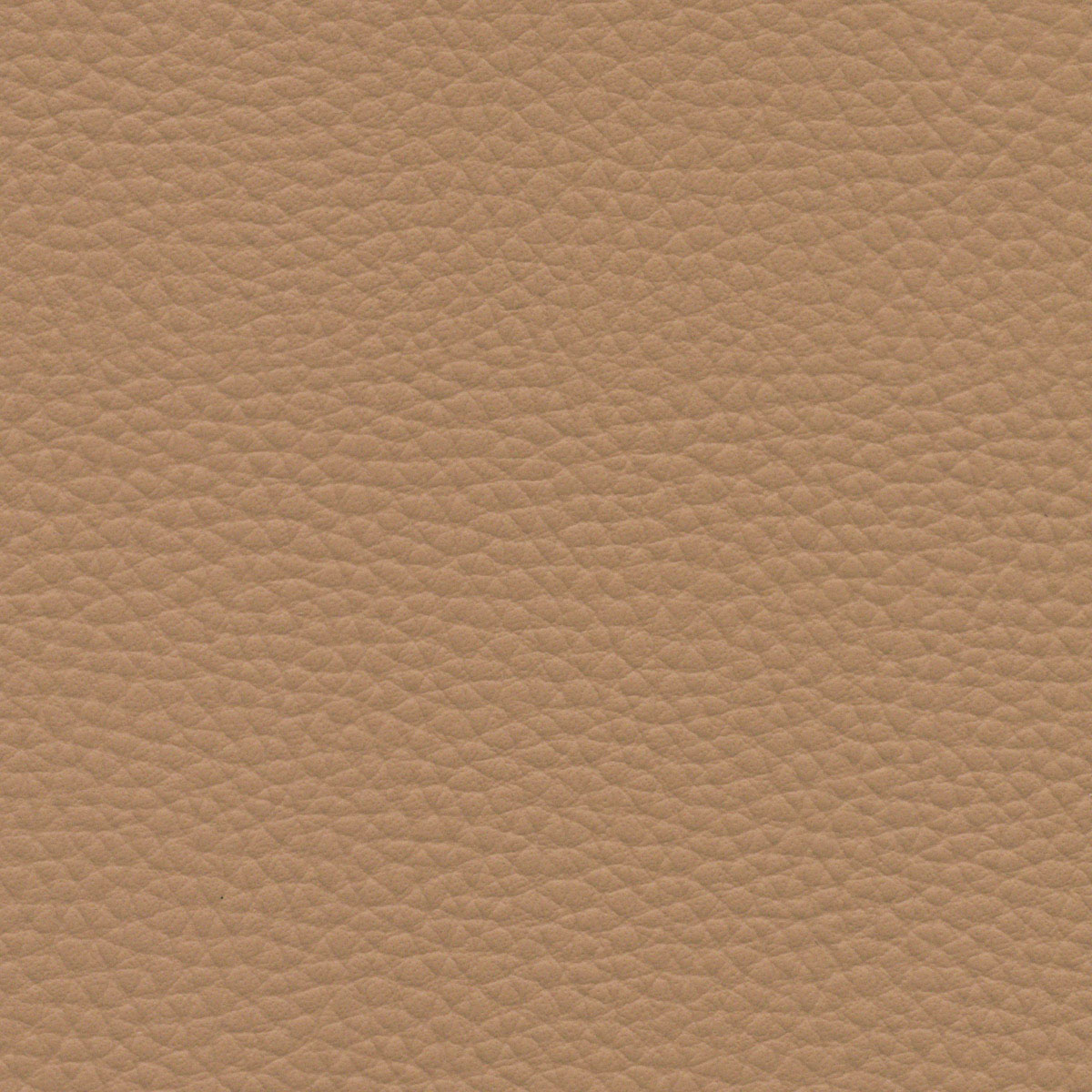 Caneware