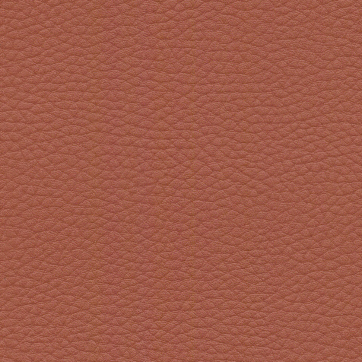 Cayenne