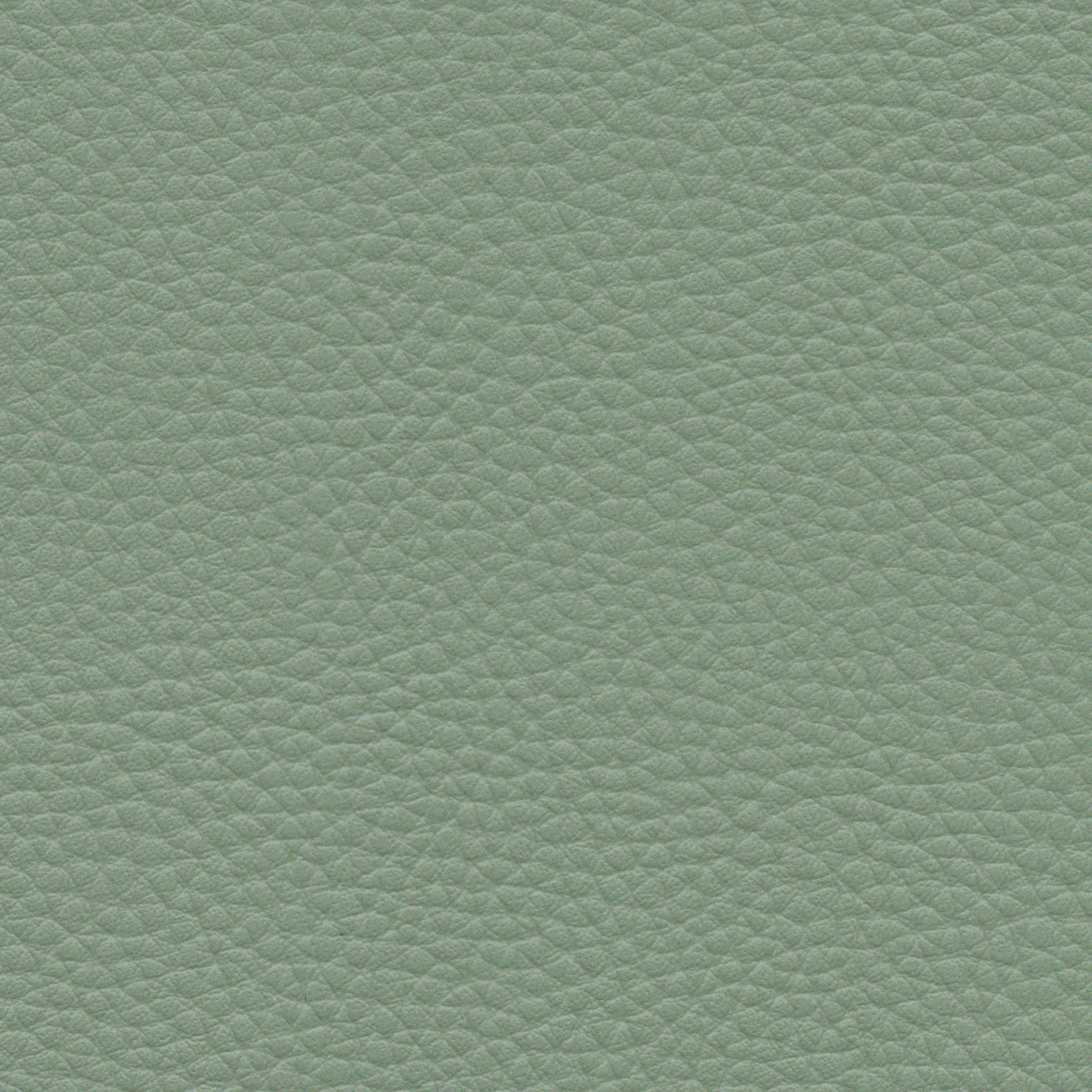 Celadon