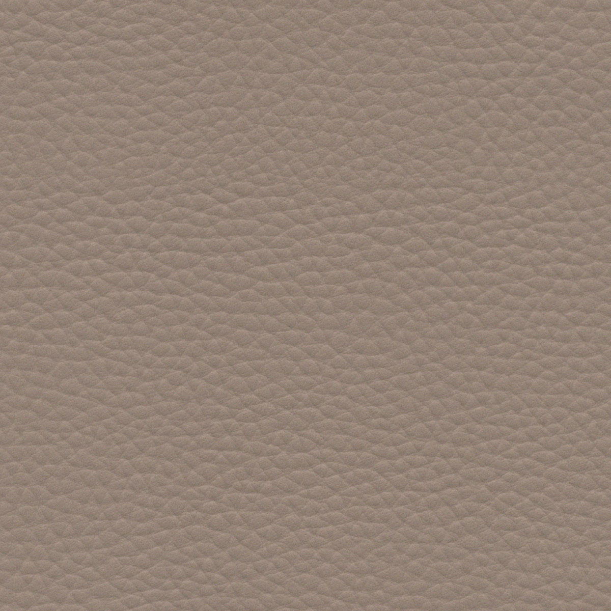 Fossil