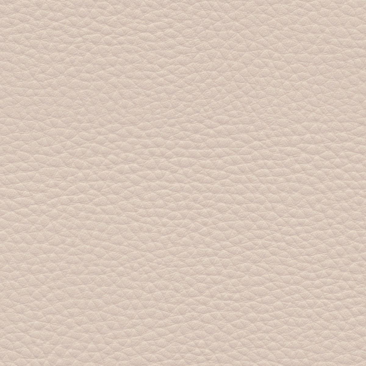 Parchment