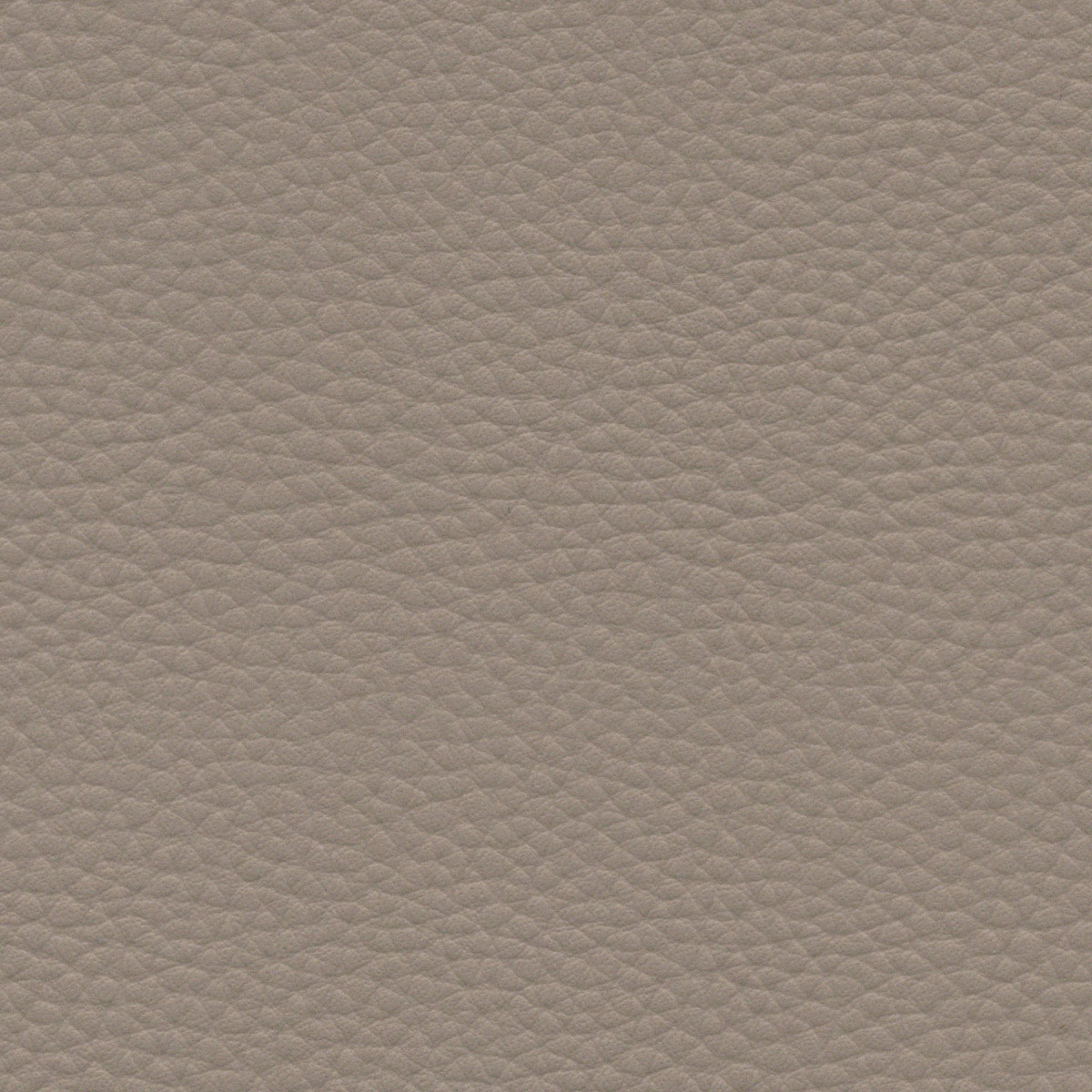 Pumice