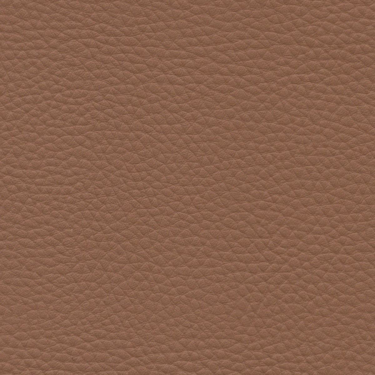 Saddle