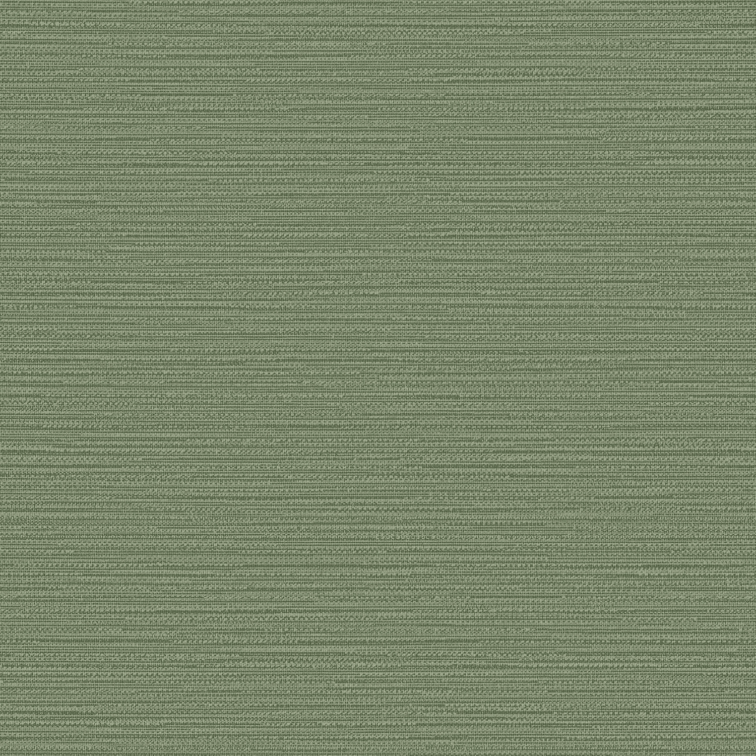 Fern