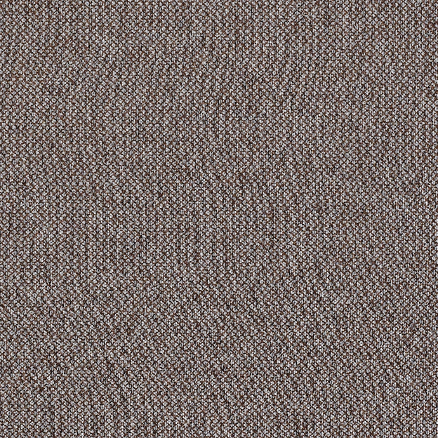 Fossil